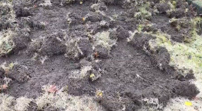  ܵ Ѽա  ʱ–͡ յ