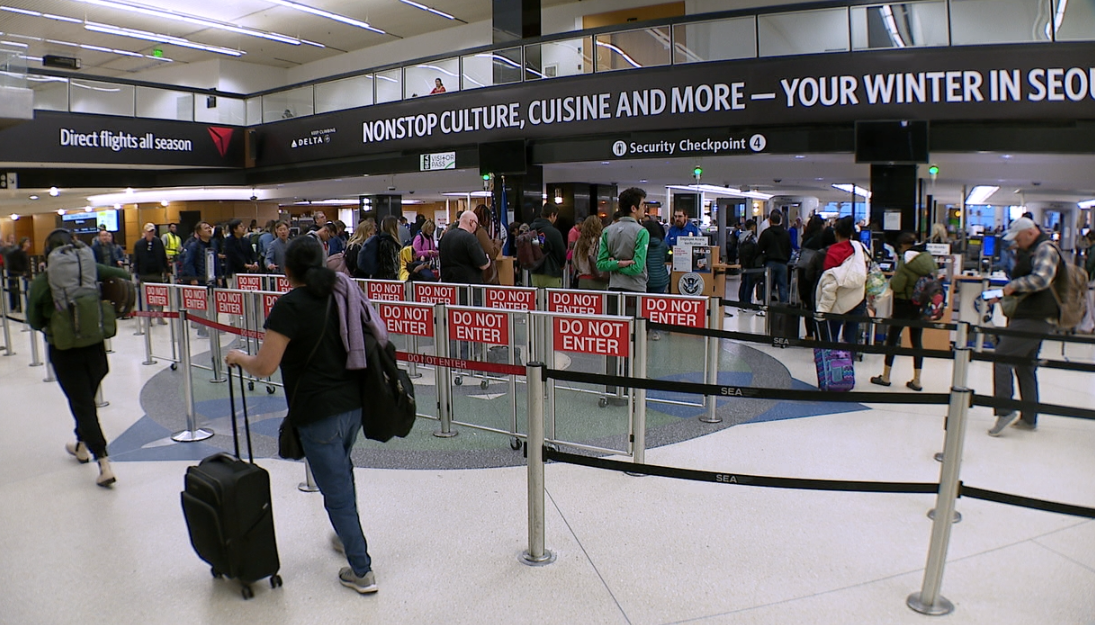 ߼ , ð 15  ִ ȥ⡯