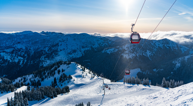 ũ����Ż ����ƾ ��Ű�� 20�� ����