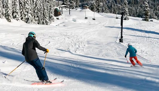 �������� ��Ű�嵵 ����