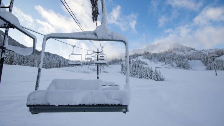 ��Ƽ�콺 �н� ��Ű��, ���� �� ���� �߻��� 7�� ����