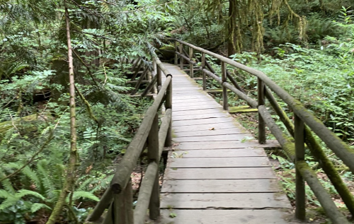 [�ָ���] �þ�Ʋ �ٱ� ���� ���� �ܿ� ����ŷ�� 5��