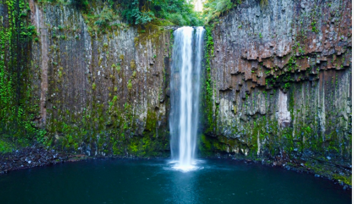 ������ ��ǥ ���� ���ƺ����� ������ �Ź���...������?