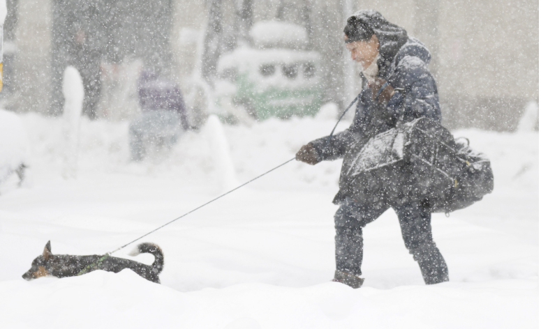 ���� ��Ʋ° ����ź...���� ����, �װ��� ��κ� ����