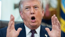 ȣ������ ����������� Ʈ����, ���������ϳ�