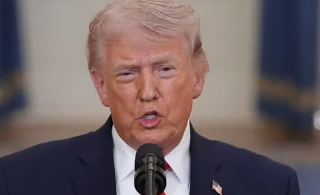 Ʈ���� ���̶��� �� ��������