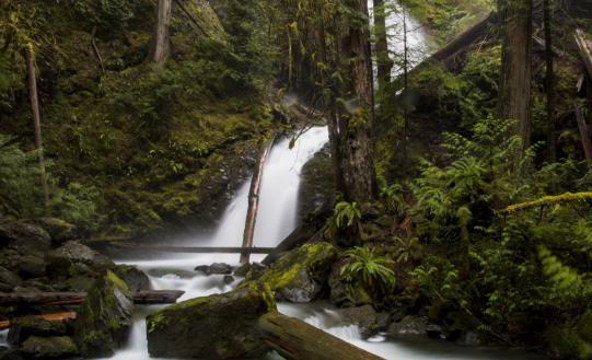 �����鿡 ���� ������ ���� ����ŷ 5��