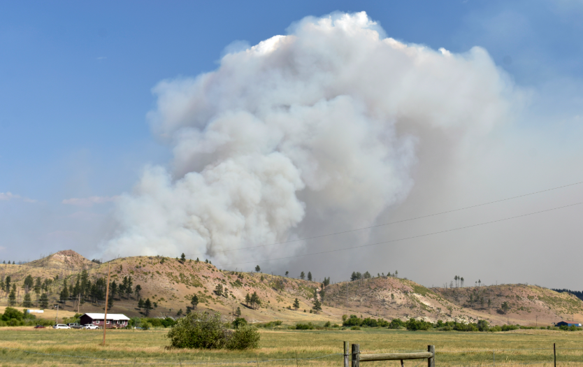 �������� ���� ���� ������...�ÿ��� �� ���� ���