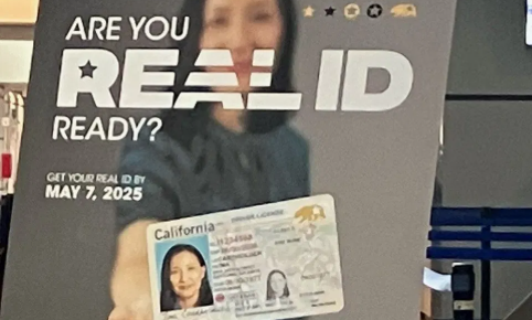 'ID' 5 7Ϻ ... ž½  ؾ